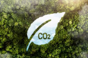 Aerial view of dense green forest with a leaf-shaped cutout revealing the CO2 symbol, representing the concept of investing in forests and carbon credits to combat climate change.