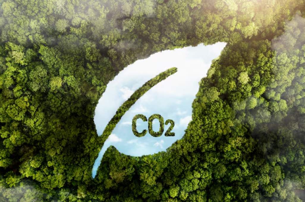 Aerial view of dense green forest with a leaf-shaped cutout revealing the CO2 symbol, representing the concept of investing in forests and carbon credits to combat climate change.